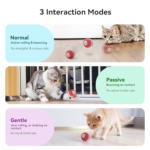 Interactive Cat Ball Toy (Red)