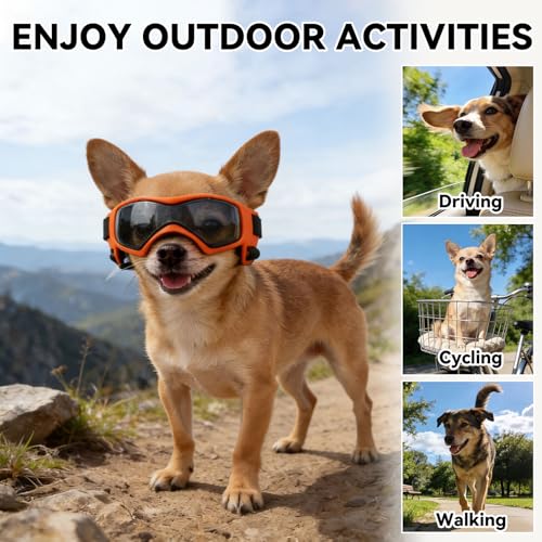 Small Dog Goggles for Small Breed UV (Small / Orange)