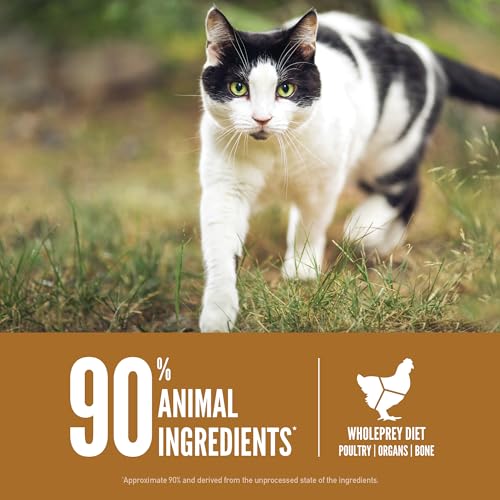 Grain Free WHOLEPREY Dry Cat Food Original Recipe 12lb Bag (12 Pound (Pack of 1))