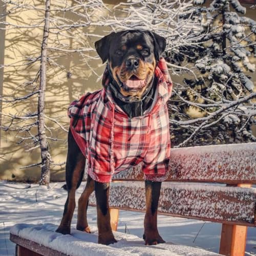 Dog Hoodie Buttery (Red Plaid / 5XL)