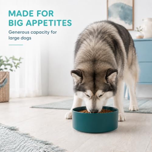 Ceramic Dog Bowls (Matte Dark Green)