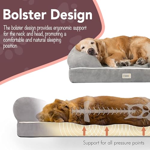 Orthopedic Dog Bed (Memory Foam Dog Bed / Chester Brown / Large (36" x 28" x 9"))