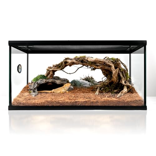Reptile Glass Tank 20"*12"*10" Pre (20*12*10inch)