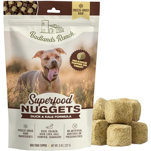 Superfood Nuggets (8 Ounce (Pack of 1))
