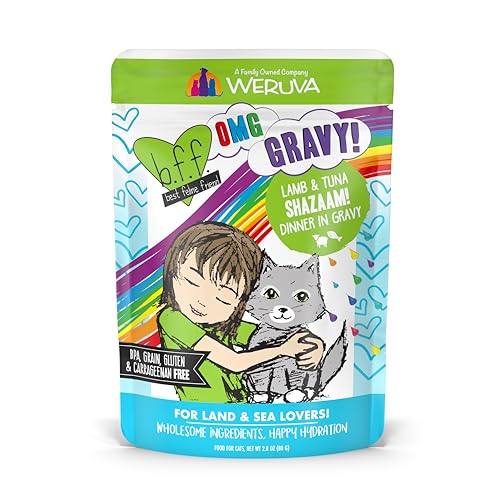 B.F.F. OMG Best Feline Friend Oh My Gravy! (2.8 Ounce (Pack of 12))
