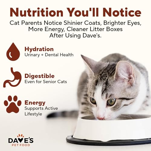 Grain Free Wet Cat Food (13 Ounce (Pack of 12))