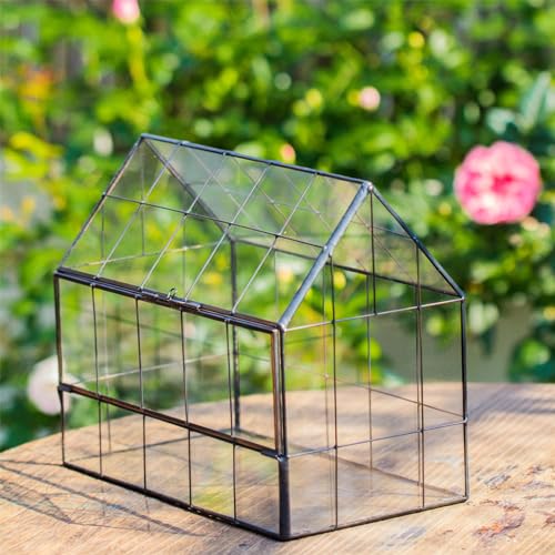 Geometric Glass Terrarium with Front Opening Door