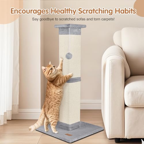 Cat Scratching Post 33 inch for Indoor Cats (Grey)