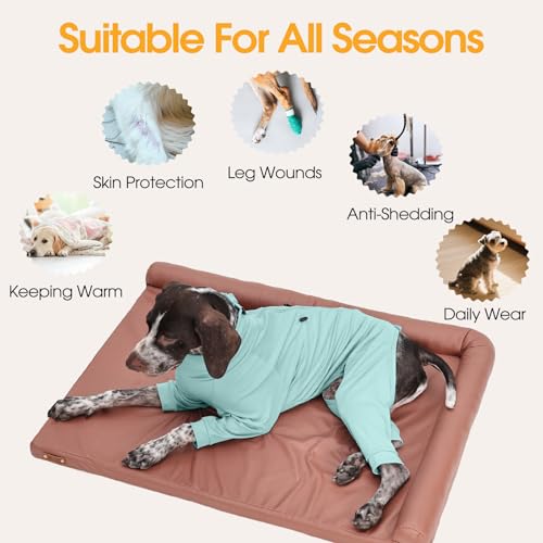 Adjustable Recovery Suit for Small Dogs (Green / S)