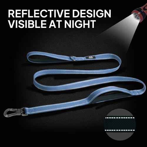 4FT 1IN Heavy Duty Dog Leash for Large Dogs with 2 Padded Handles (Ultramarine / 1 in x 4 ft)