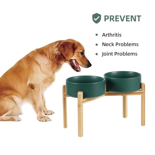 Dog Bowls Elevated (Matte Dark Green)