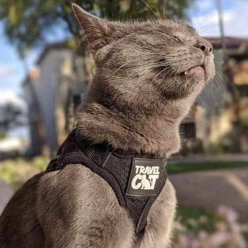 Travel Cat Harness and Leash Set (X-Small / Black)