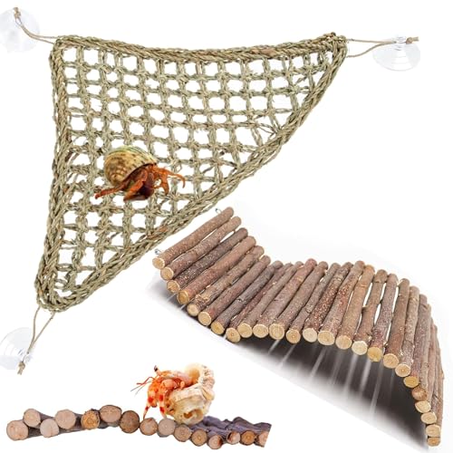 Bearded Dragon Tank Accessories Set
