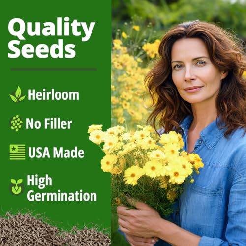 Cosmos Seeds Dwarf Lemon