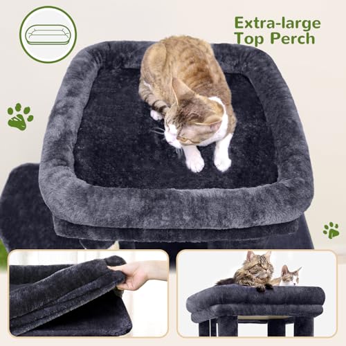 Heavy Duty Cat Trees for Big Cats Maine Coon (Dark Grey / 61inch)