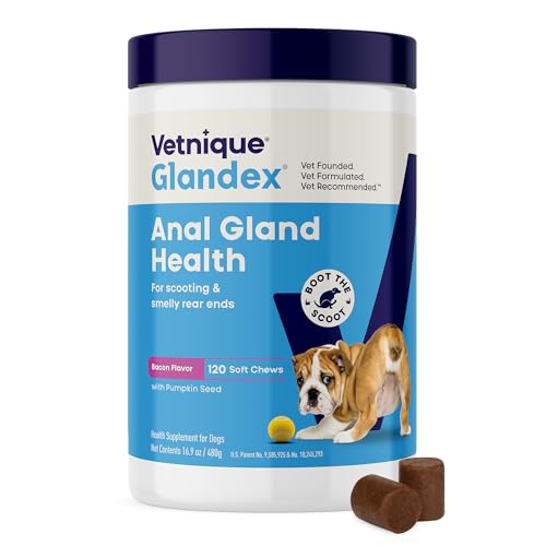 Glandex for Dogs Anal Gland Chews 120ct Pumpkin (120ct)