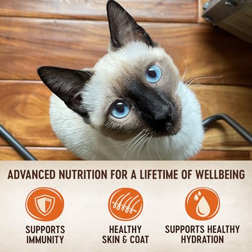 CORE Tiny Tasters Pate Adult Wet Cat Food (1.75 Ounce (Pack of 12))