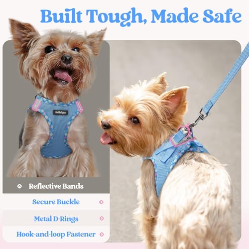 Dog Harness Medium Sized and Leash Set (Blue & Plaid Trim / L (chest: 18.2 - 20.5"))
