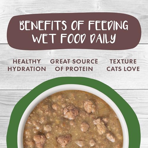 Classic Cat Stews! (2.8 Ounce (Pack of 12))