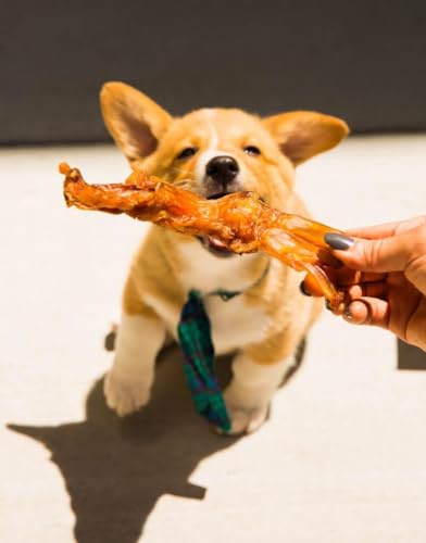 Beef Tendons for Dogs & Puppies (2.3 Ounce (Pack of 3) / Turbo)