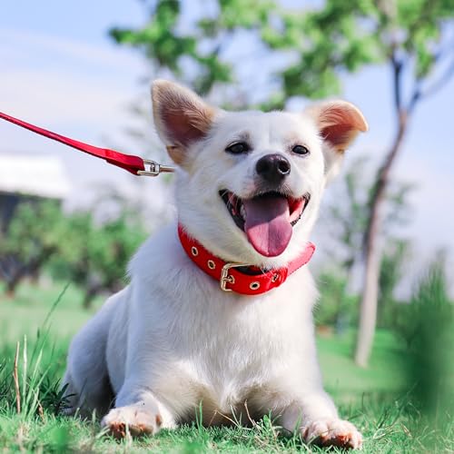 Soft Padded Dog Collars for Medium Dogs (Red / L: Fit 13-17" Neck)