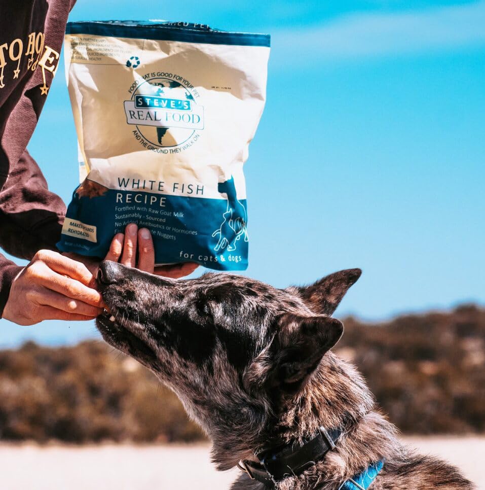 Freeze Dried Raw Dog Food Nuggets