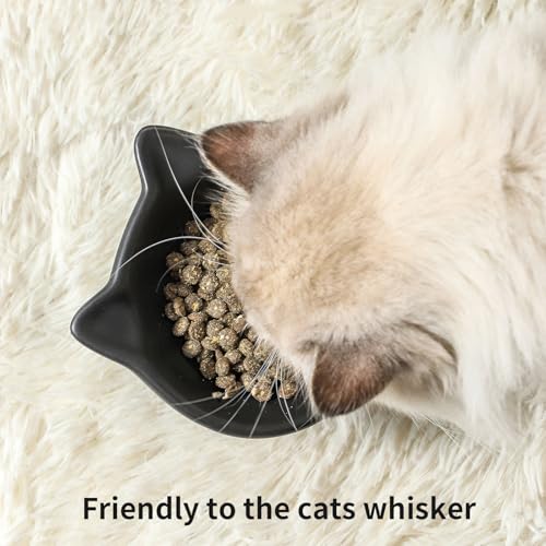 Elevated Cat Bowls (4.5 OZ+8 OZ / Matte Black)