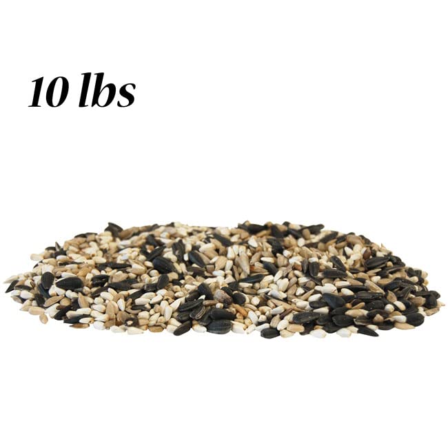 Wild Bird Seed Mix