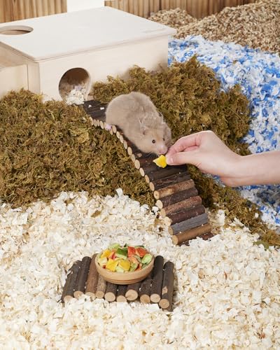 Hamster Snack & Treats Toy