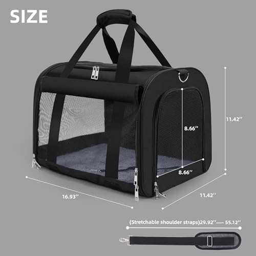 Cat Carrier Backpack (black)