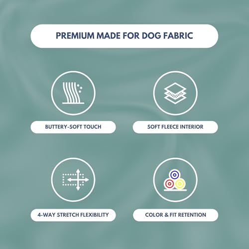 Dog Hoodie Buttery (Teal / X-Large)