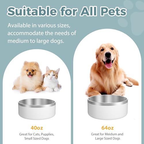 Stainless Steel Dog Bowls (Large / White)