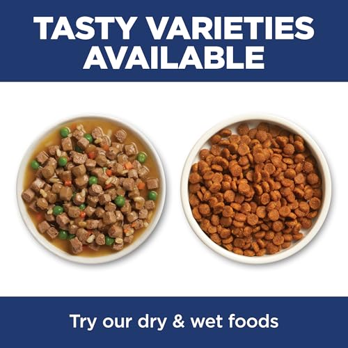 Senior 11+ Dry Cat Food (3.5 Pound (Pack of 1))