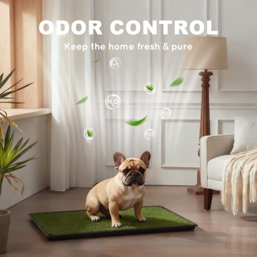 HQ4US Dog Grass Pad with Tray (M - 31" x 21" for Dog＜ 26'' Length)