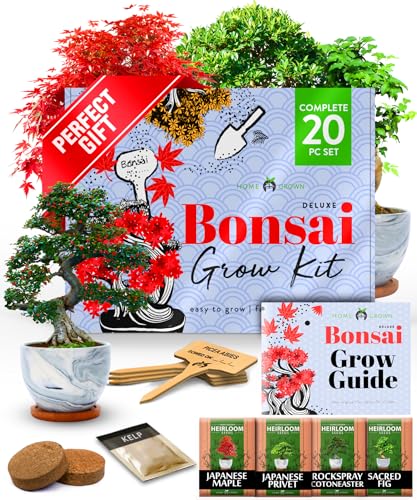 Bonsai Tree Starter Kit
