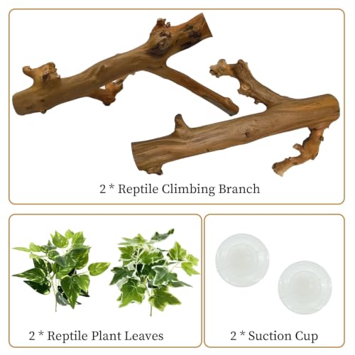 2PCS Snake Climbing Branch (Polished Reptile Climbing Wood)