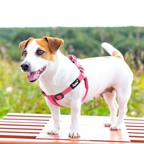 No Pull Dog Harness Small Sized Step (DeepPink(Reflective) / Small)