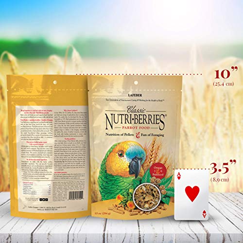 Classic Nutri (10 Ounce (Pack of 1))