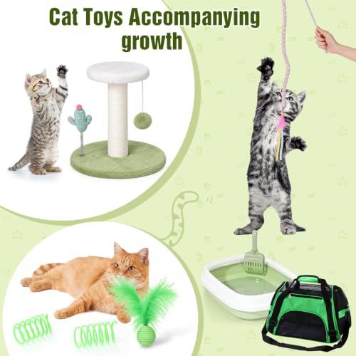 10 Pcs Kitten Starter Kit for Indoor (Classic / Medium / Green White)