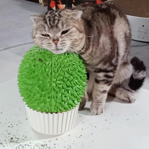 Cat Face Scratcher Wall Corner Massage Comb (green)