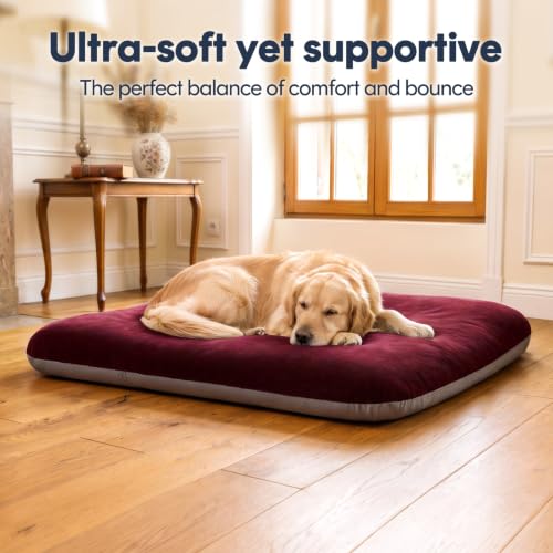Orthopedic Medium Dog Bed 32 Inch (32.0"L x 24.0"W x 3.0"Th / Burgundy)