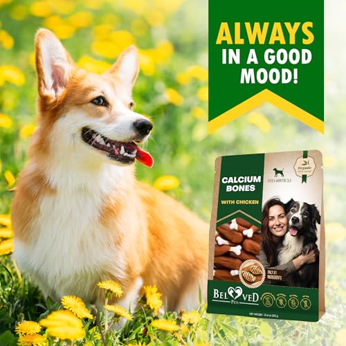 Dog Treats Bones Wrapped Chicken & Rawhide Free Chew (1.5 Pound (Pack of 1))