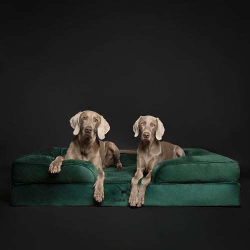 XXL Dog Bed Orthopedic Memory Cooling Foam (Dark Green - VE / XX-Large)