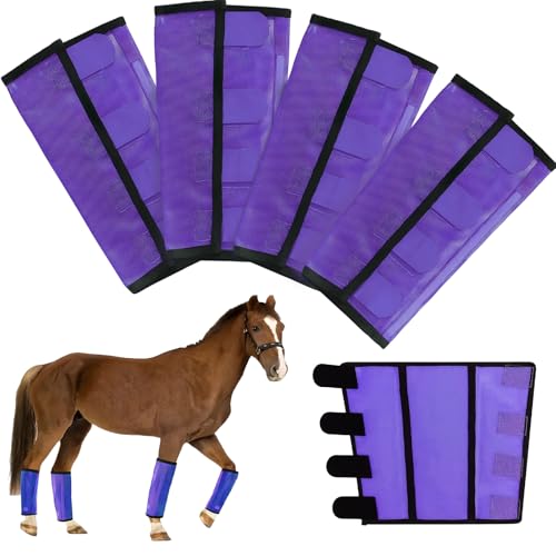 Mesh Horse Fly Boots Set of 4 (Purple)