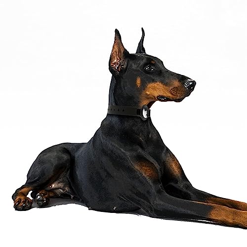 SaharaCase Silicone Dog Collar for Apple AirTag (Black)