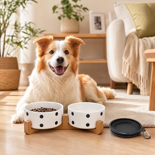 Ceramic Dog Bowl Set with Stand (Black Dot / 400ML*2)