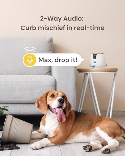 Mini 360° Camera [Core Features (Mini 360° Camera / No Subscription Required)