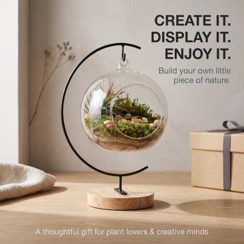 DIY Glass Terrarium Kit with Live Moss & Mini Tools