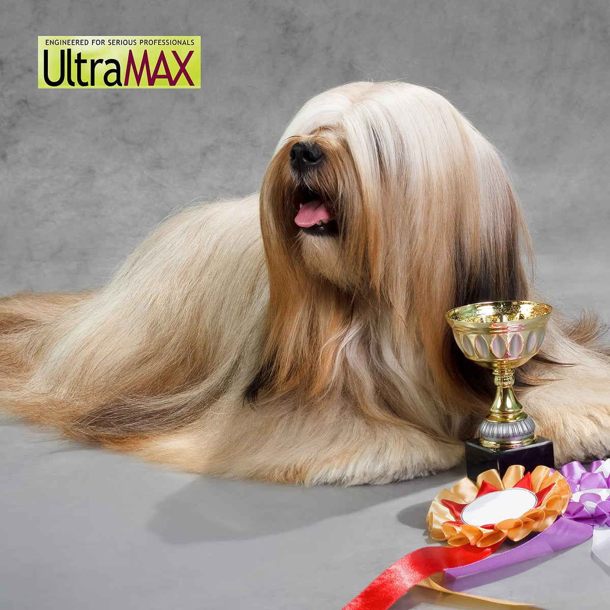 The MAXX Ultra Concentrate Miracle Detangler and Conditioner (8.5 oz.)