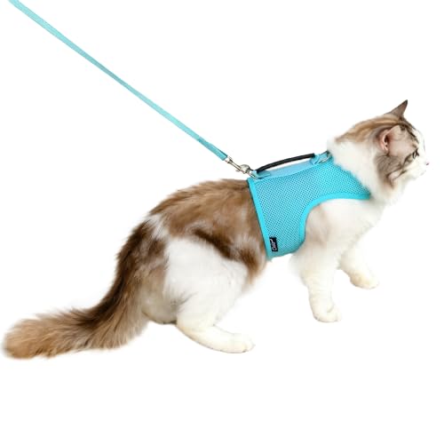 Cat Harness and Leash Set for Walking Escape Proof (Turquoise / Xxl 19-26 lbs)